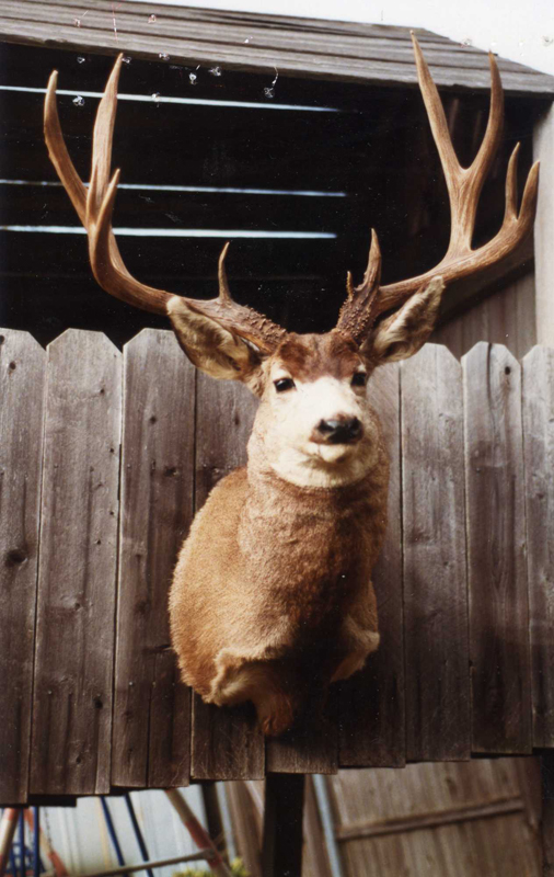 Boone & Crockett Club record mule deer