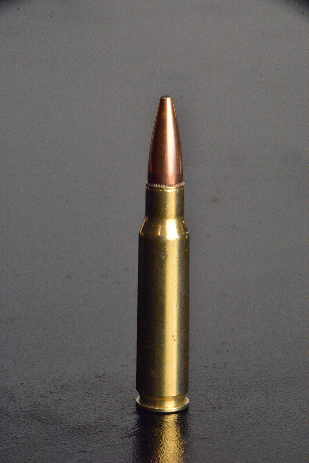 308 winchester rifle ammunition whitetail