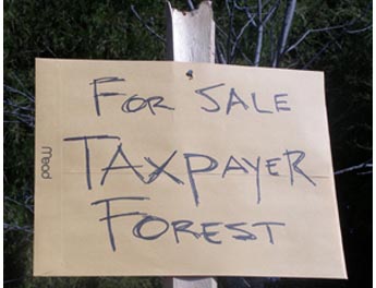 The President Wants to Sell Your National Forest
