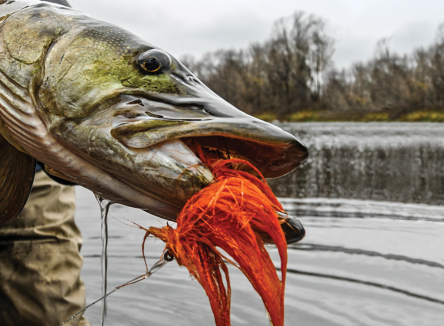Fishing Tips: 4 Different Sandy Spots Where You'll Find Muskies