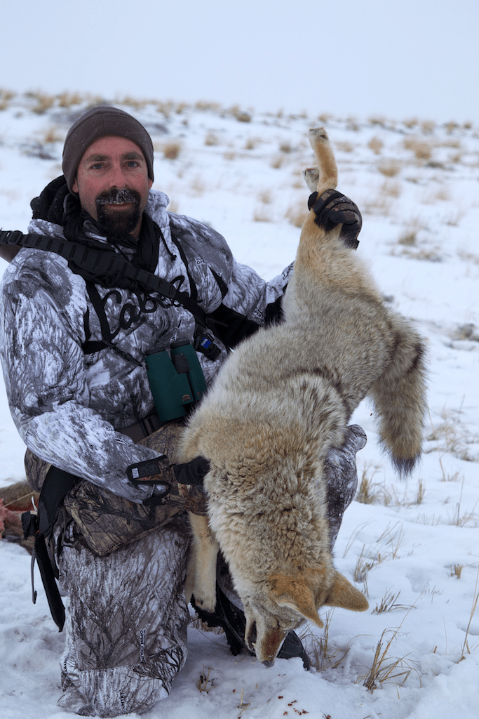 Read ‘Em and Reap: New Book Will Make You a Better Coyote Hunter