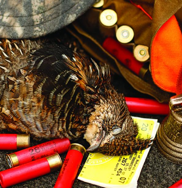 Grouse Hunting Tips: 6 Ways to Get More Early-Season Birds