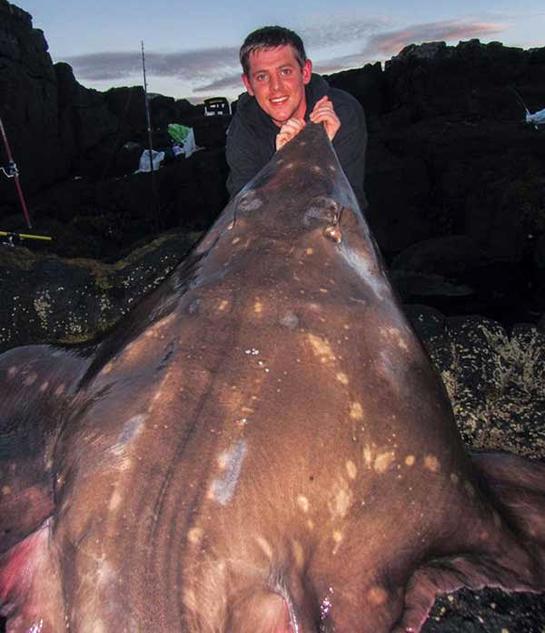 Largest Fish Ever Caught from British Shores Won’t Make Record Book