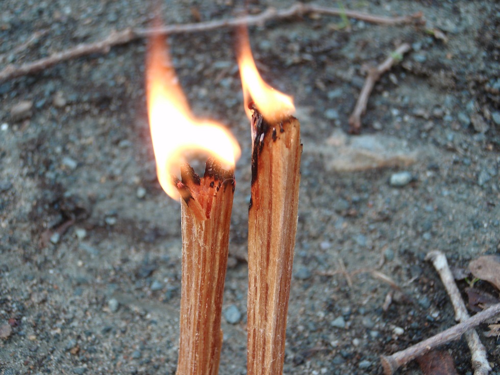 burning-fatwood