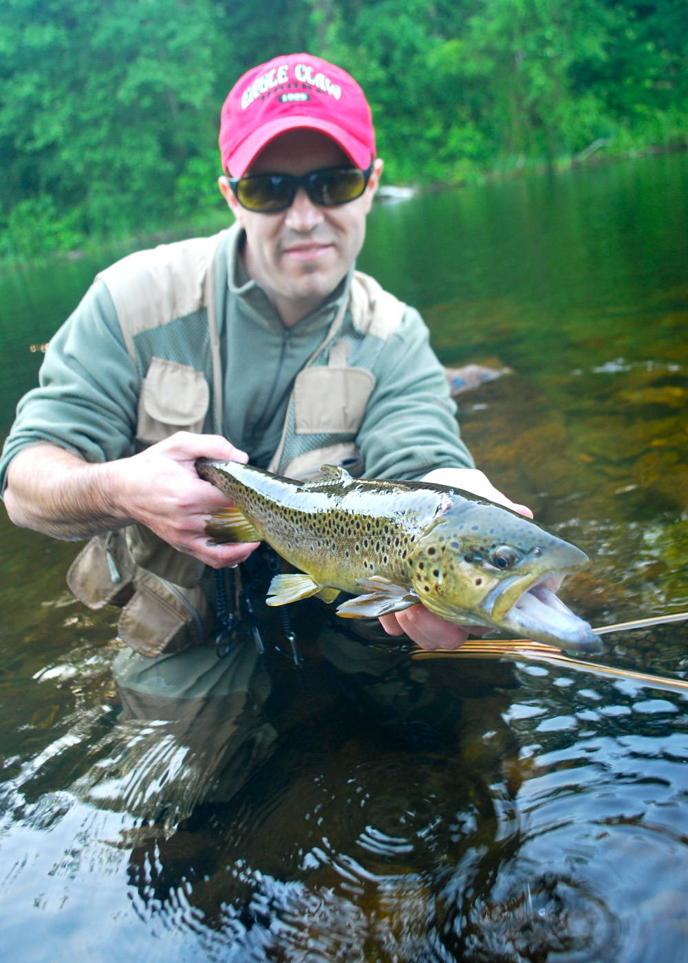 Matt's experience on this river shows, he places the mealworm perfectly, and he's in. The drag is singing as the fish, larger than any we'd caught that morning, takes off in the current. After a spirited battle we snap a photo of the impressive brown trout, definitely a highlight of the trip, before watching it swim away.