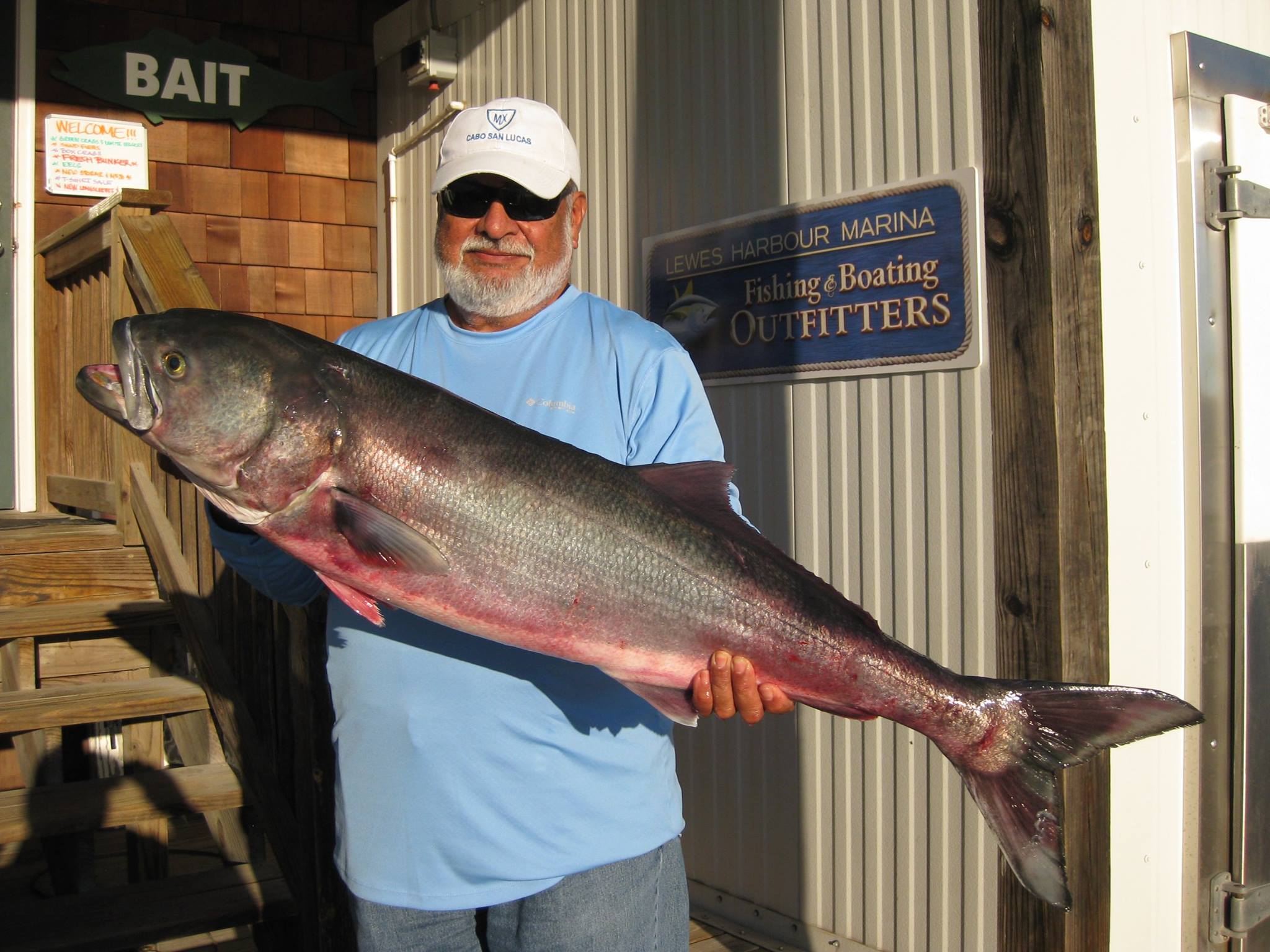 The Fall of Record Bluefish: How to Get In on the Action