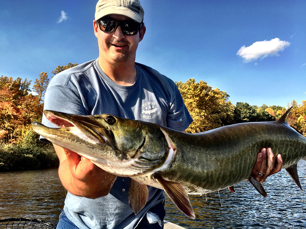 Land A Trophy Muskie This Fall