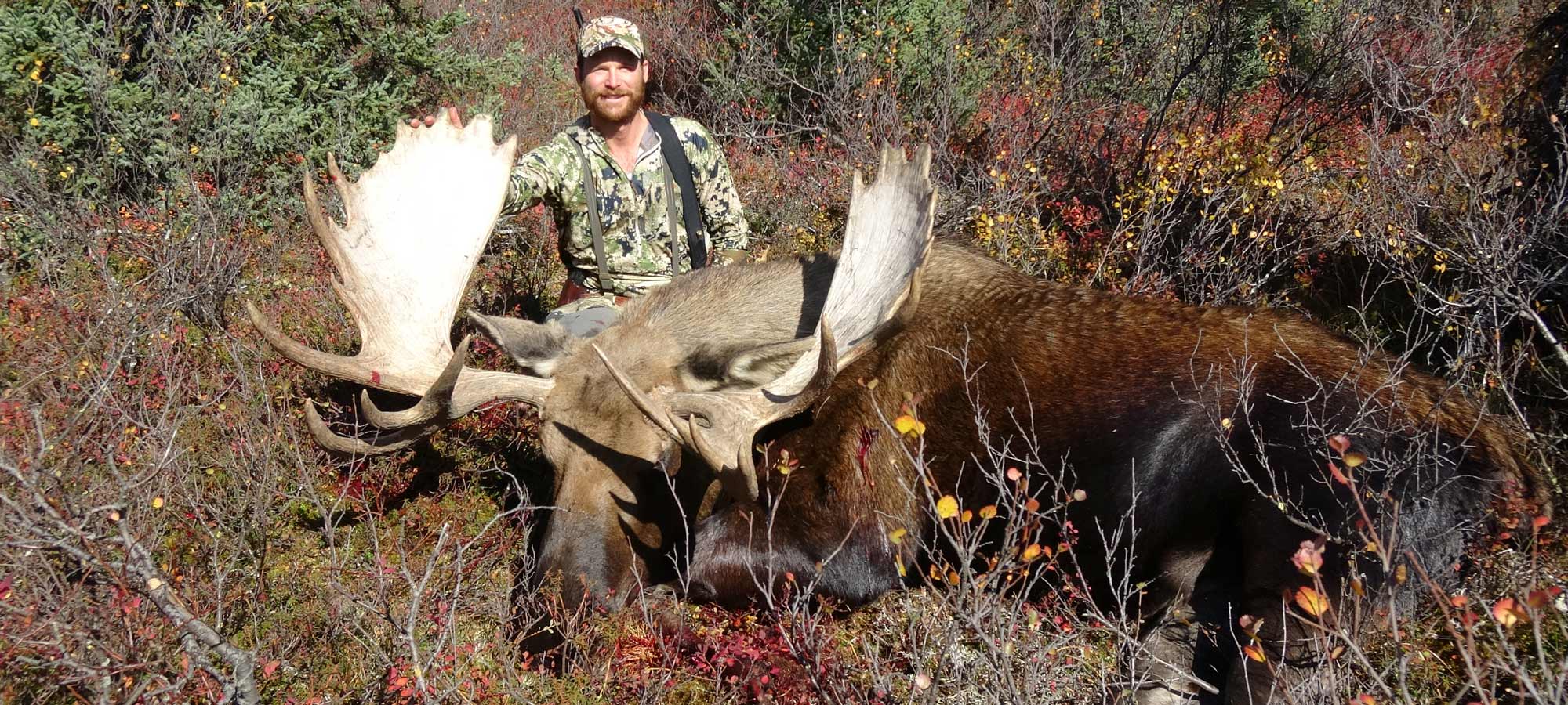 hunter with an alaskan moose
