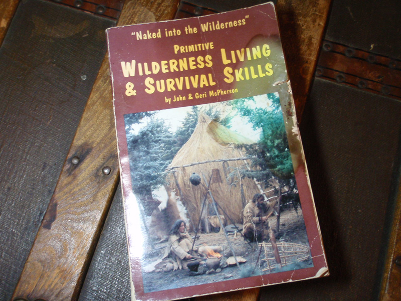 Naked Into The Wilderness book