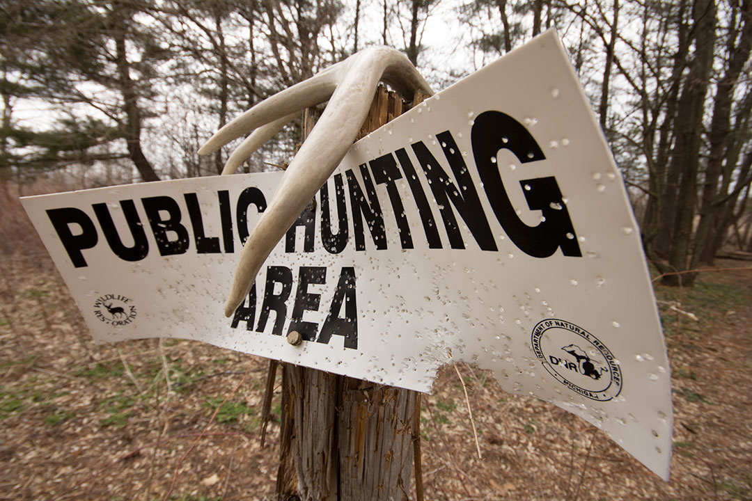 public land hunting