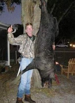 Florida Trapper Kills 400-Pound Hog