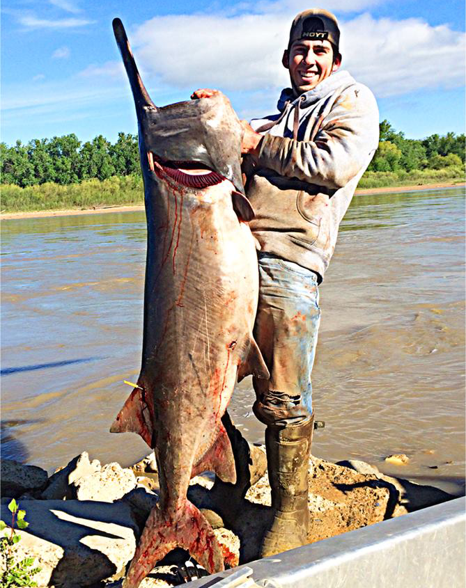 Montana Bowfisherman Sets World Paddlefish Record