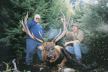 This 8x8 Roosevelt elk is number three in the SCI book, taken October 17, 2002 by rifleman Ron Bridge with guide Doug Rippingale on Vancouver Island, British Columbia, Canada.  It has main bean rack circumferences of 8 6/8s and 9 4/8s inches, and scores 397 2/8s.