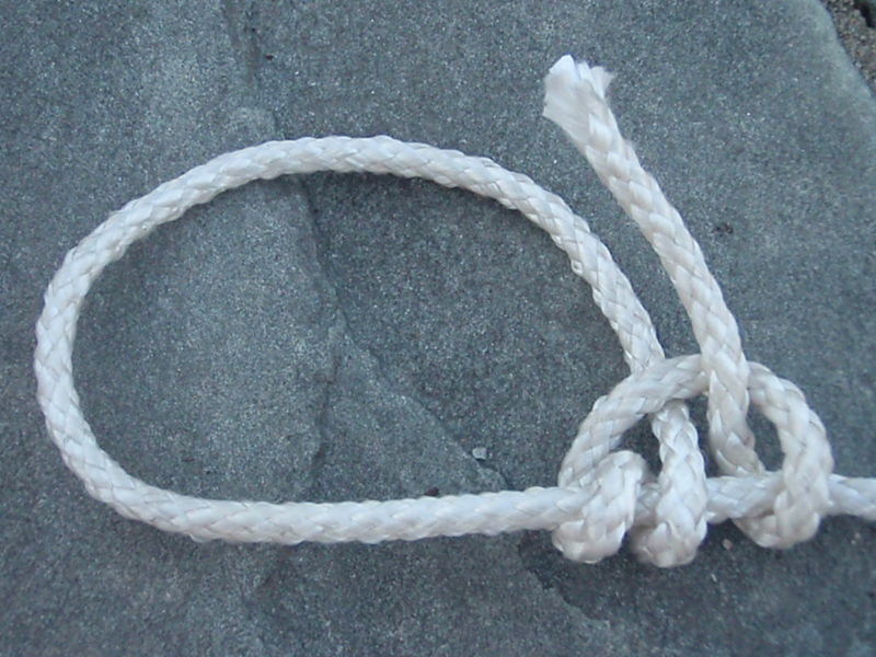 taut line hitch knot