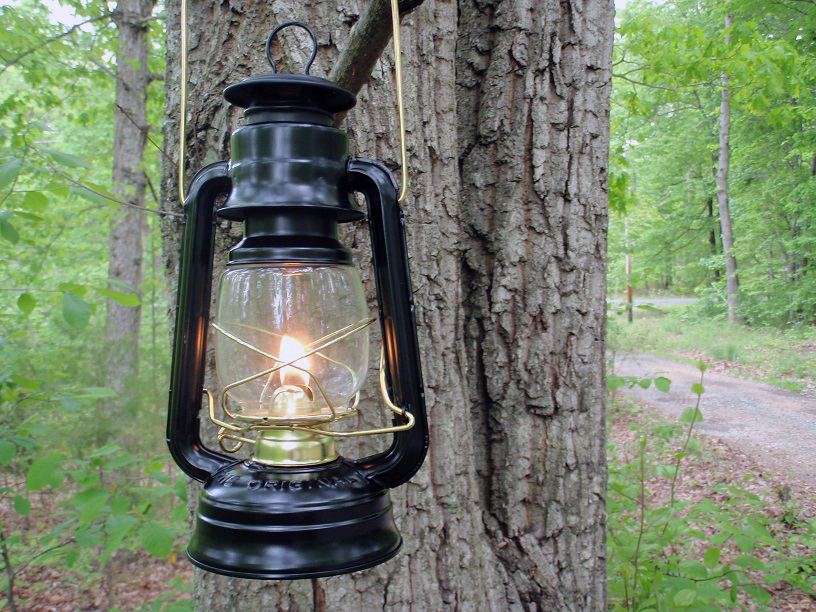 lantern on a tree