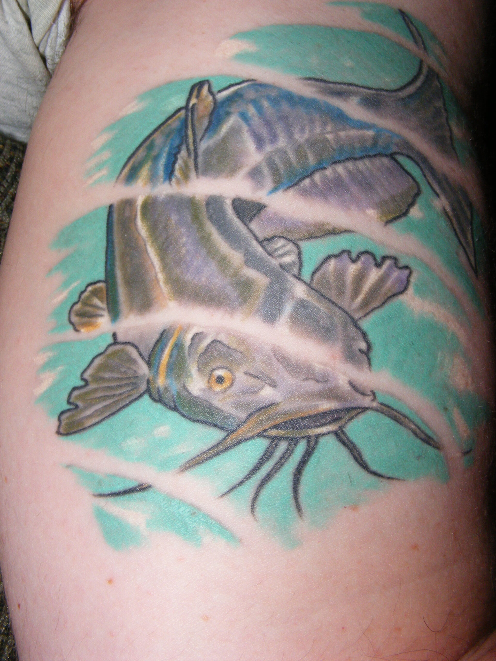 The Ultimate Tattoo Collection | Outdoor Life