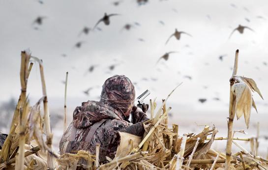 Waterfowl Hunting: What You Need to Know About Steel Shot