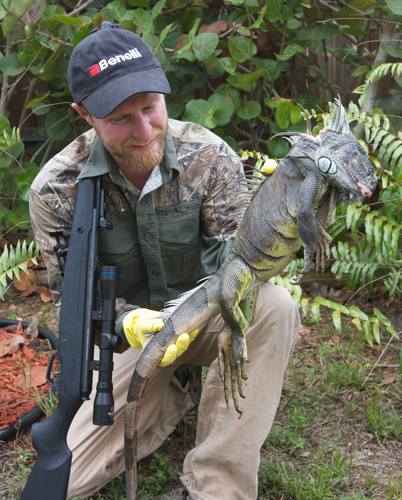 I'm wearing gloves because, like most reptiles, iguanas have gnarly bacteria on their hides.