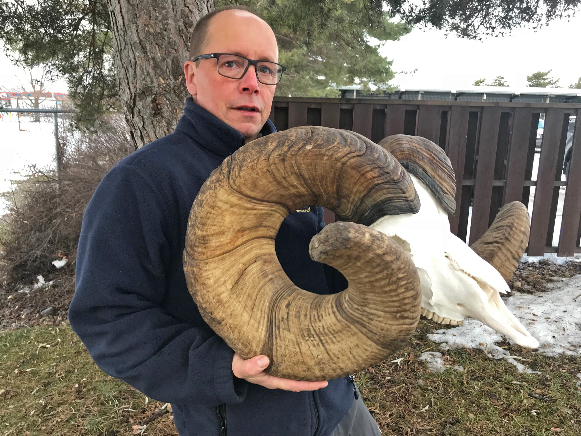 The New World-Record Bighorn is a Public Land Success Story