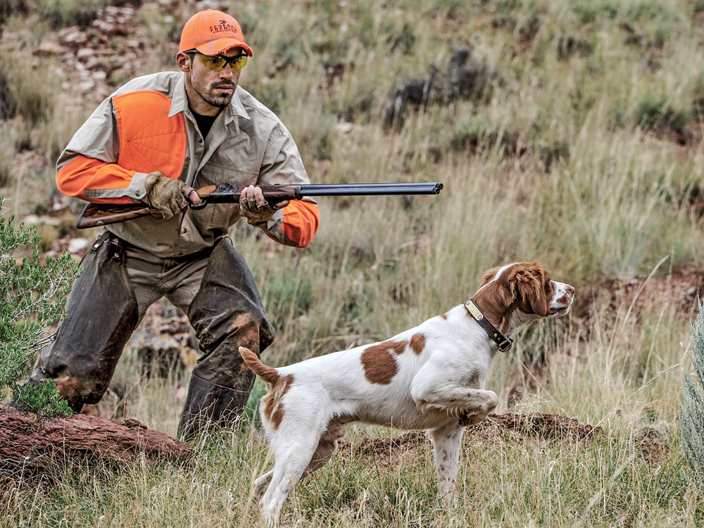 Hunter and hunting dog