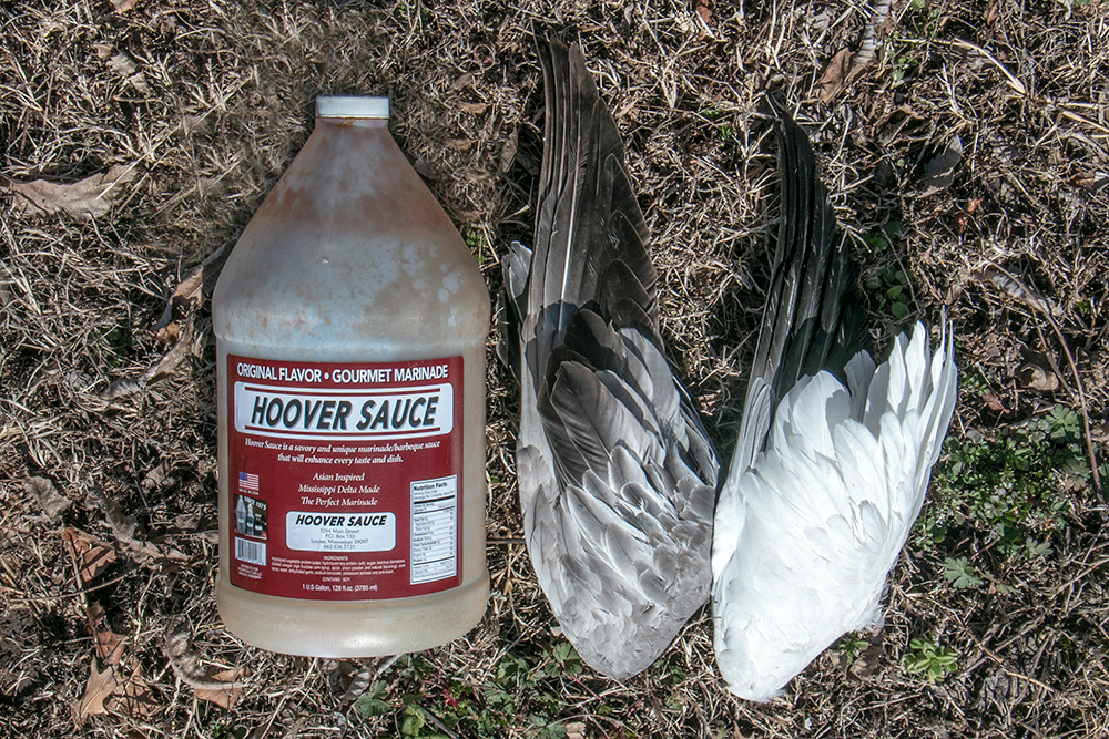 _Looking for the ultimate sweet marinade for snow geese? Get yourself some Hoover Sauce. _