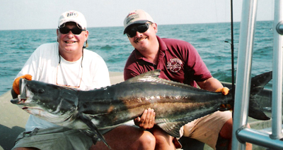 Cobia often swim right up to the boat and eat whatever bait they are offered.