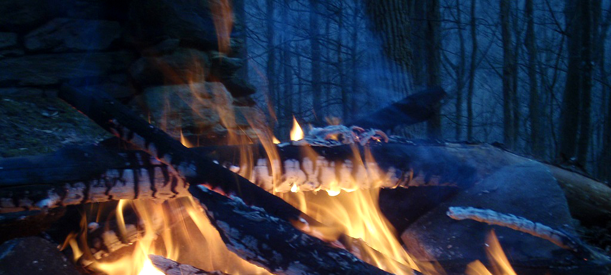 campfire-woods