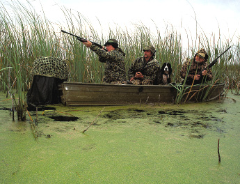 Duck Hunting photo