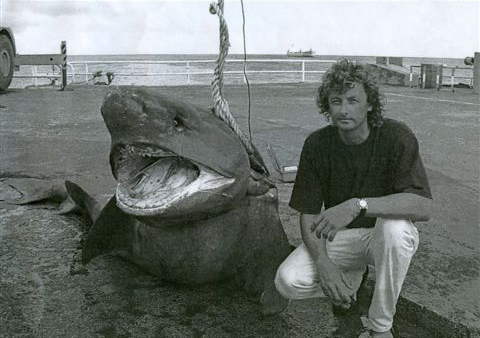The sixgilled shark is not only rather rare, but gets rather huge, as this record 1,298-pound specimen proves. It was caught by Clemens Rump in November, 2002 off Ascension Island, in the South Atlantic Ocean.