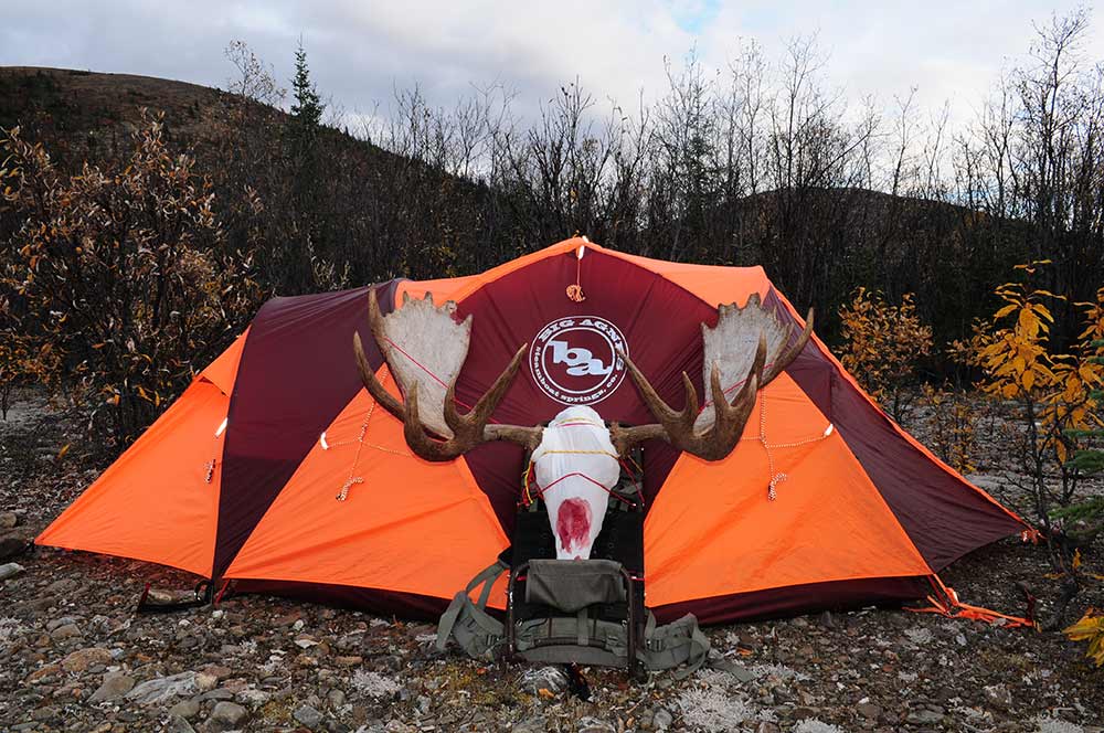 moose antlers in front of a hunting tent