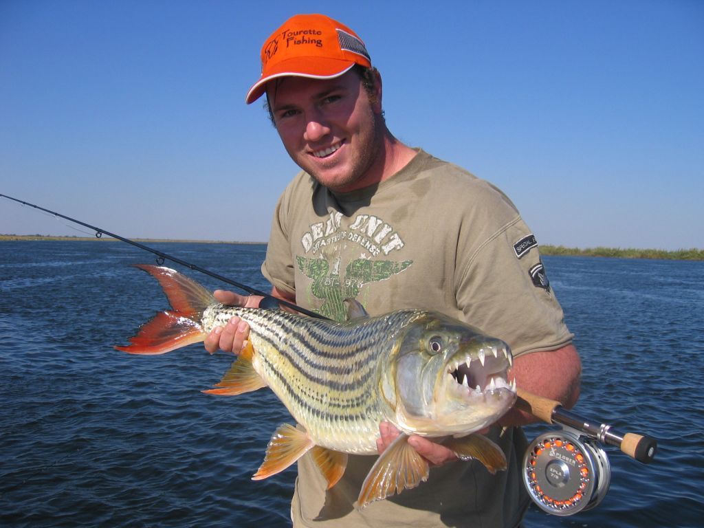 The African tigerfish may look like a striper, but sports a vastly different maw.