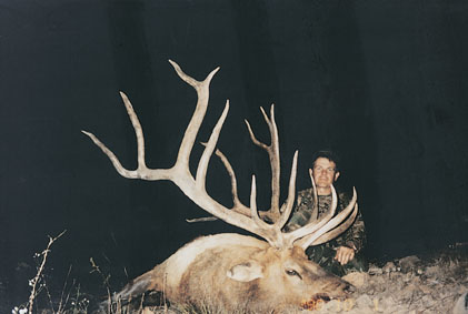 Denny Austad grabbed headlines across the country after downing the new world record elk dubbed "Spider Bull." The huge animal officially scored 478-5/8 B&amp;C non-typical points. Few animals are as jaw-droppingly impressive as a full-grown elk. With a body weight approaching half a ton, antlers spanning six feet, and a multi-point wide rack, white-tipped and majestic, a rut-crazed and bugling wapiti is something to behold. Rare is the America big game hunter who doesn't dream of tagging one of these elusive and awe-inspiring animals. To help stir those dreams, here's a photo gallery of some of Safari Club International's all-time record-book elk trophies. For more, check out the SCI website, (www.scirecordbook.org). Alan Hamberlin traveled to Navajo County, Arizona in October 1998 to down this giant non-typical Rocky Mountain elk. With a score of 474 3/8, it ranks No. 2 with SCI. Everything about this enormous 8x8 elk is impressive--inside antler spread of 40 2/8s inches, and main beam lengths of 53 inches (left) and 59 5/8s inches (right).