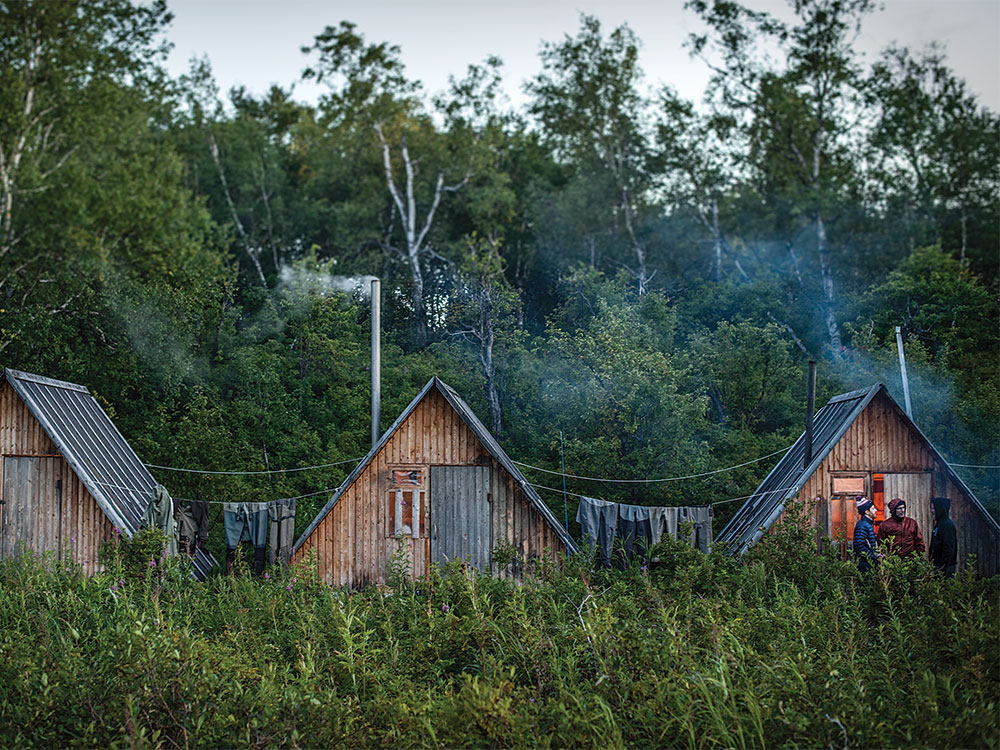 wooden cabins on the camp kamchatka river