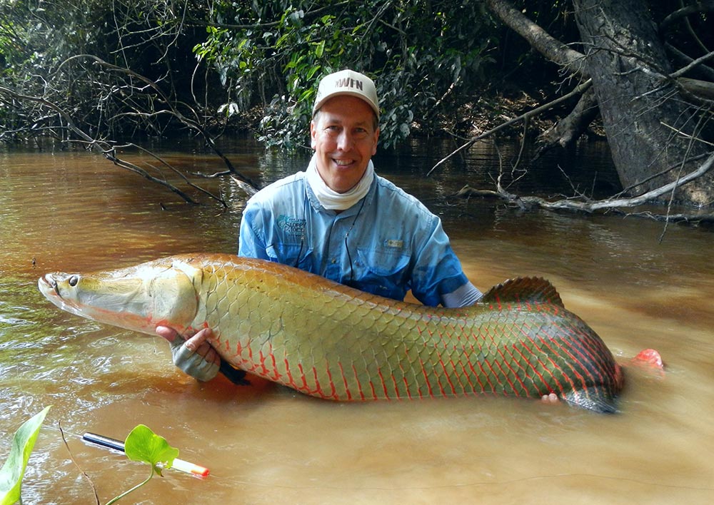 male angler holding a south american arapaima