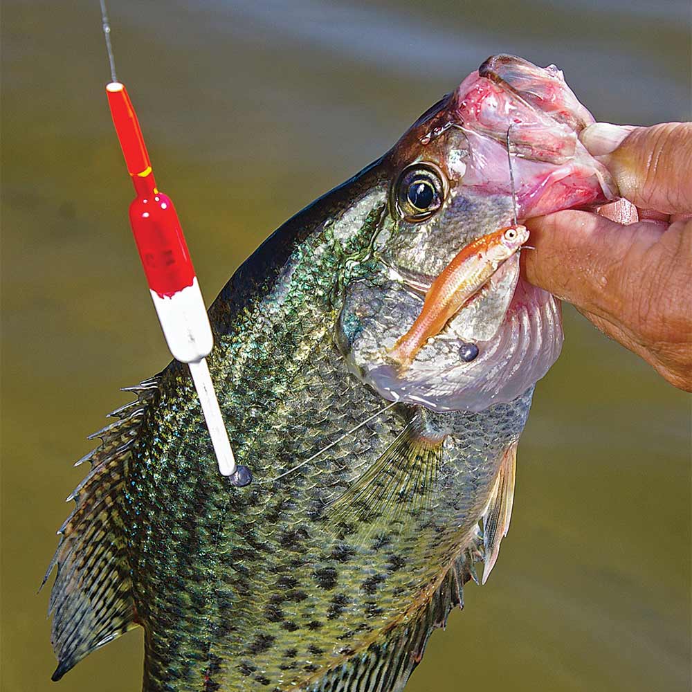 Tips and Tactics for Catching More Slab Crappies this Spring