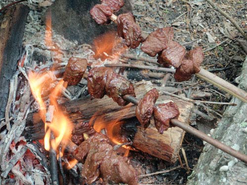 skewered meat over a campfire