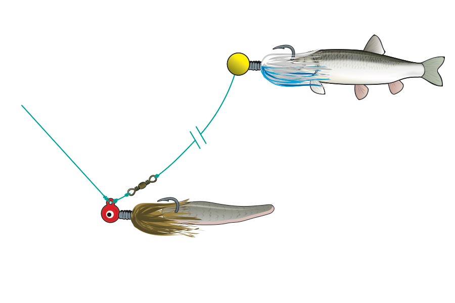 double threat bait fishing rig
