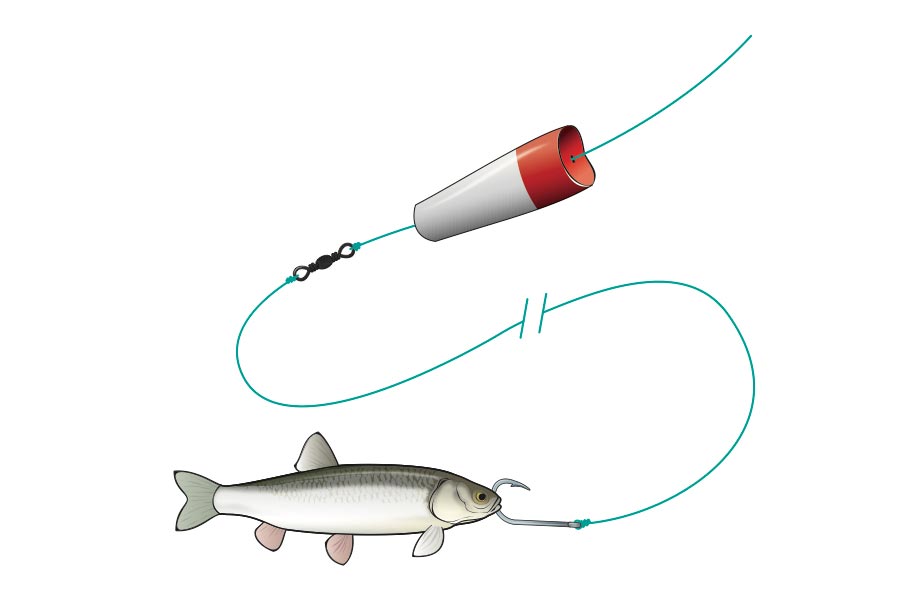 popper stopper bait fishing rig
