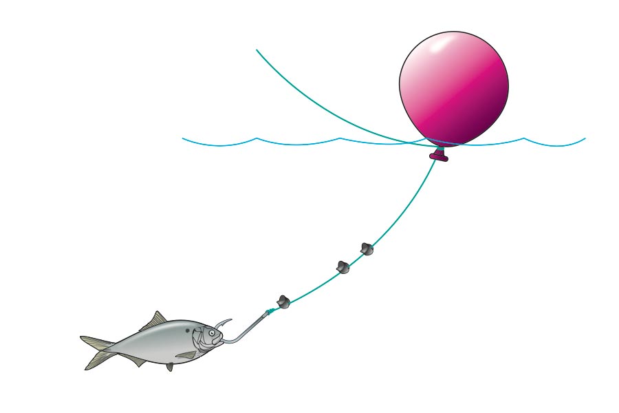 Balloon Rig bait fishing