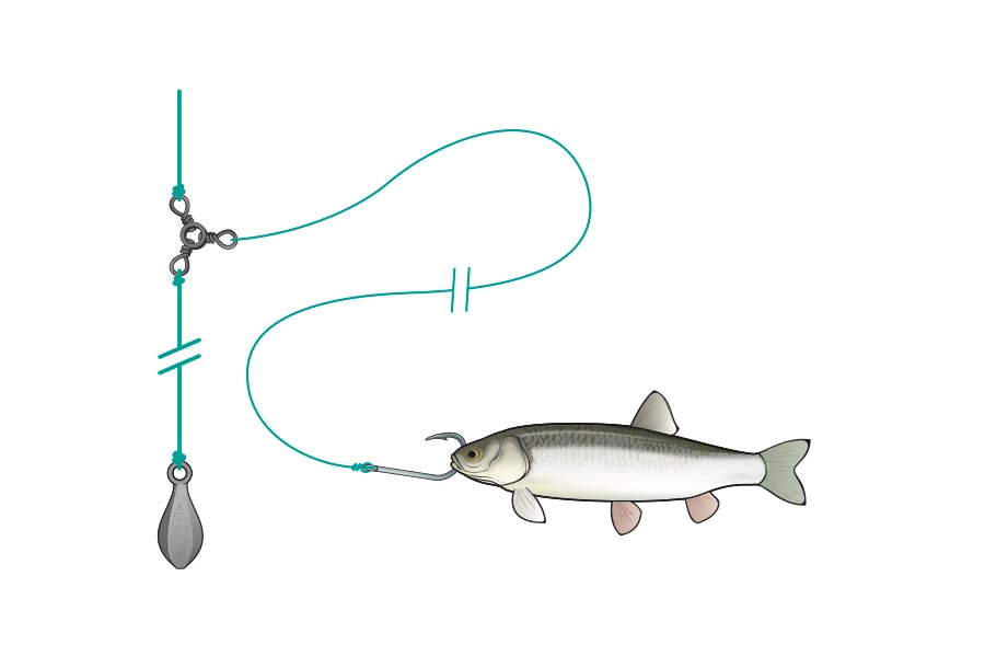 3-Way Swivel Rig bait fishing