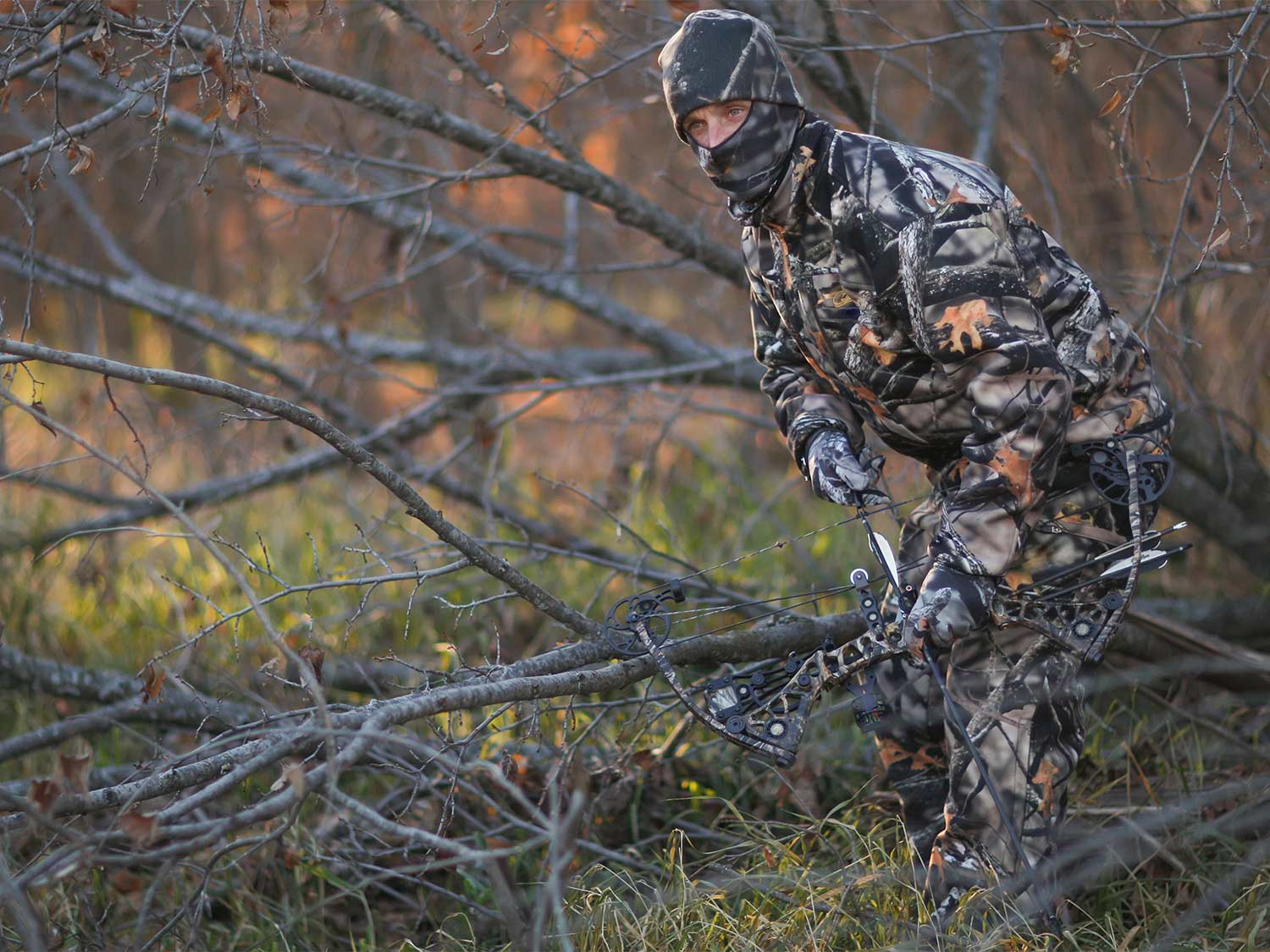 Hunter Ground Stalking Whitetail Deer