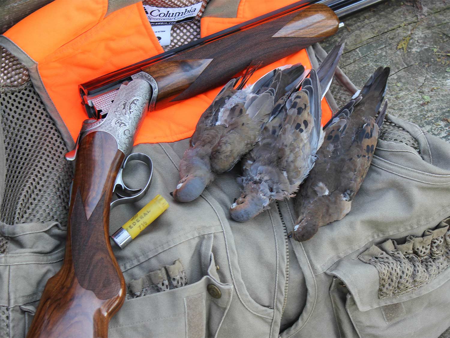 10 Dove Hunting Tips That Will Help You Shoot More Birds This Season
