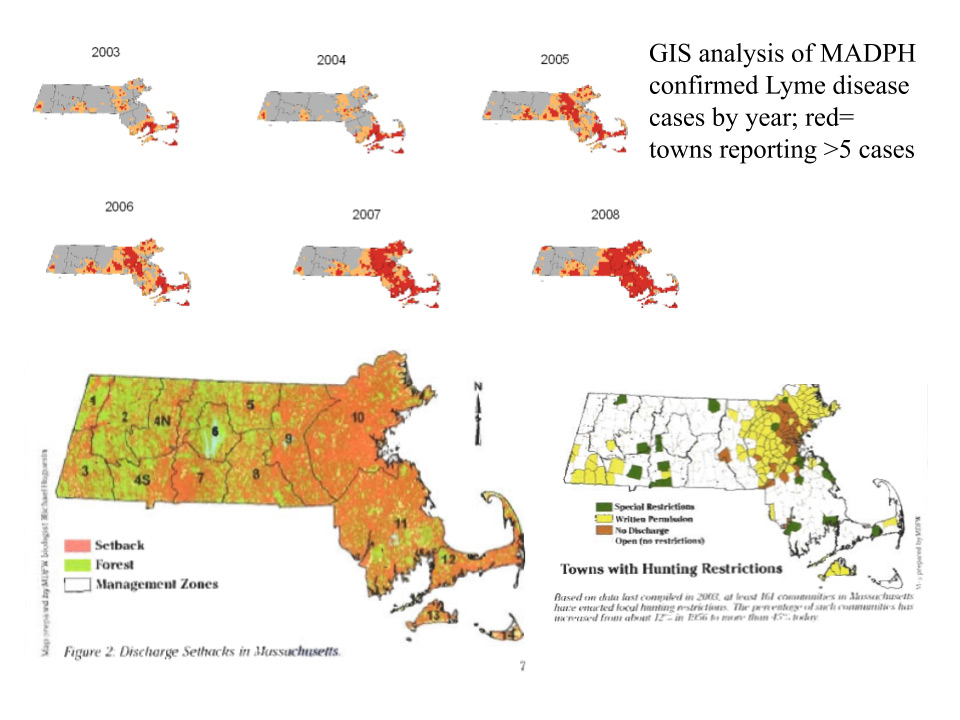 infographic of lyme disease map in massachusetts