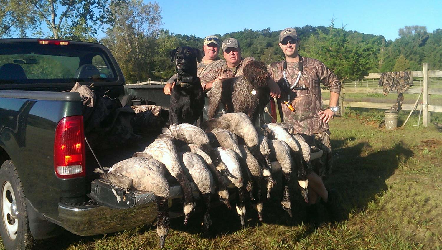 9 Overlooked Early Season Goose Hunting Tips