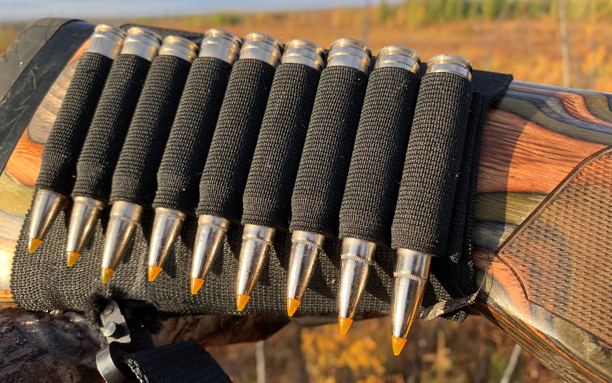 Federal Premium 200-grain Trophy Bonded Tip is one of the best cartridges for moose.