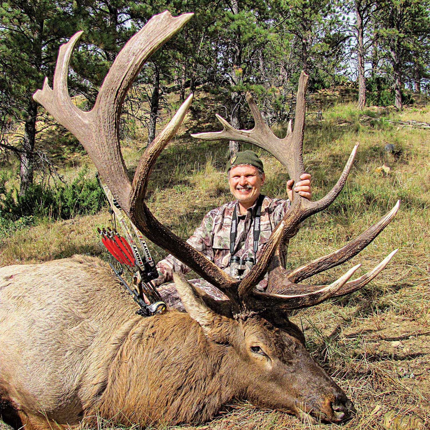 Make the Perfect Archery Shot on a Giant Bull Elk