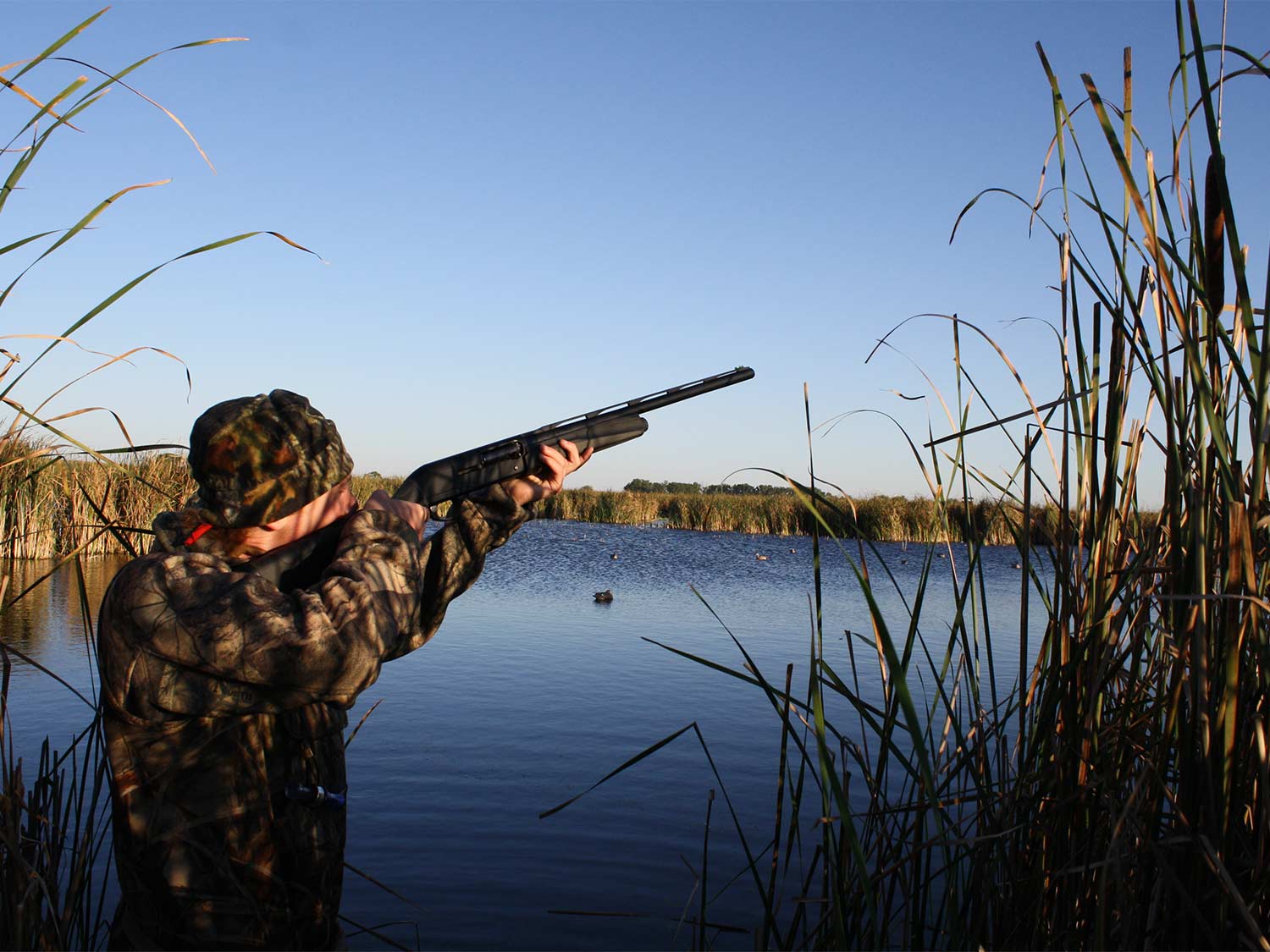 How to Hunt Ducks Without a Dog or a Boat | Outdoor Life
