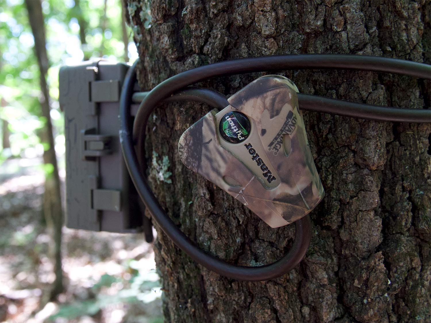 7 Hacks to Keep Your Trail Cams From Getting Stolen