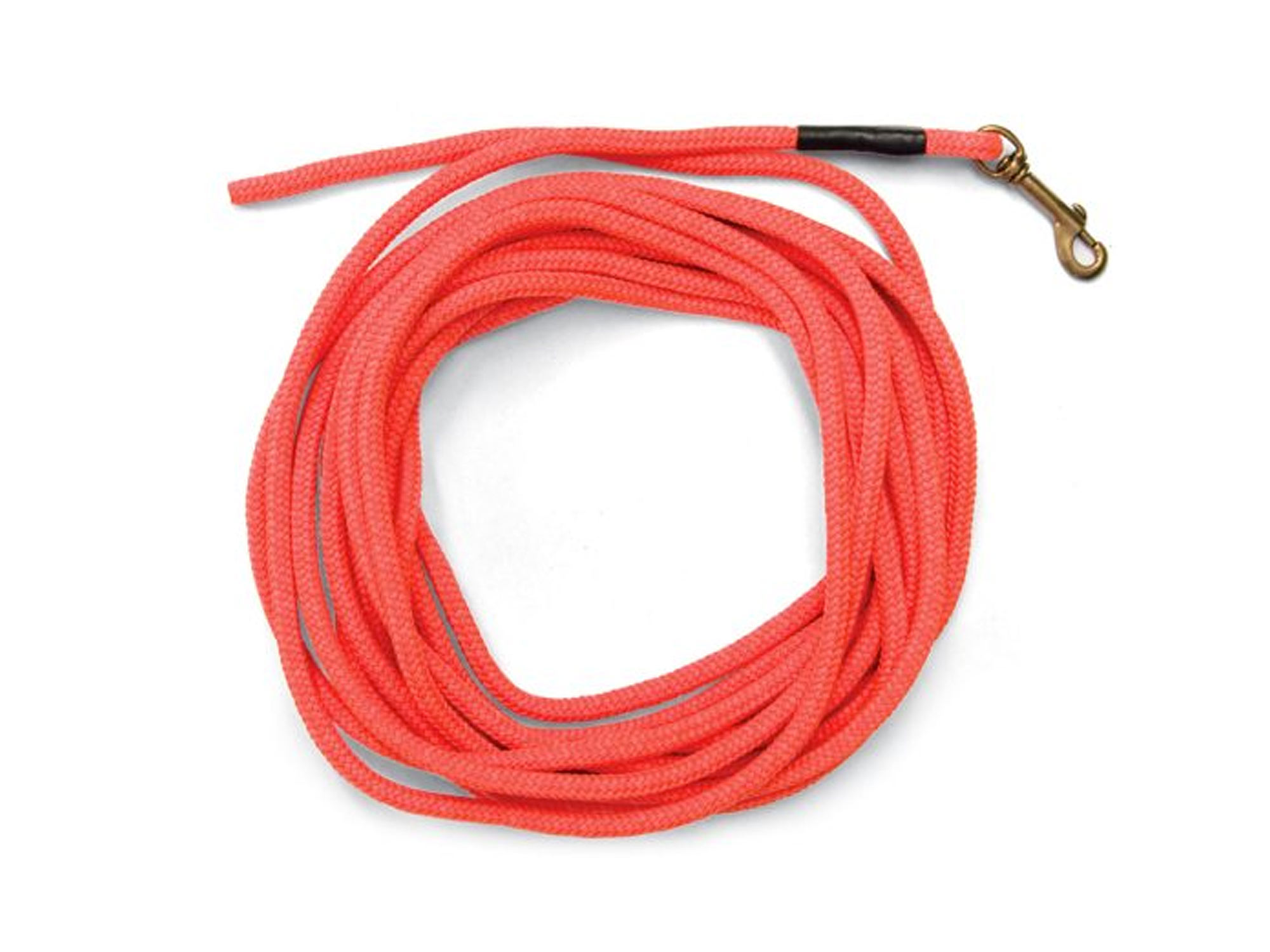 Check cord dog obedience trainer