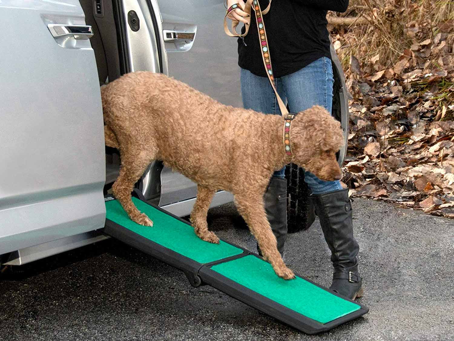 Automobile dog ramp